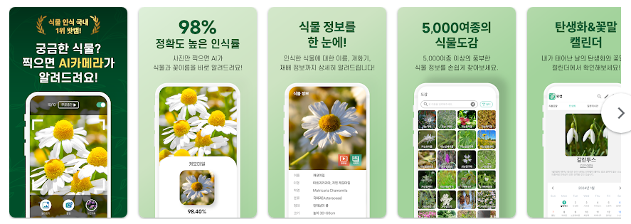 식물 이름 찾기 어플, 어플 다운로드 하고 식물이름 찾기