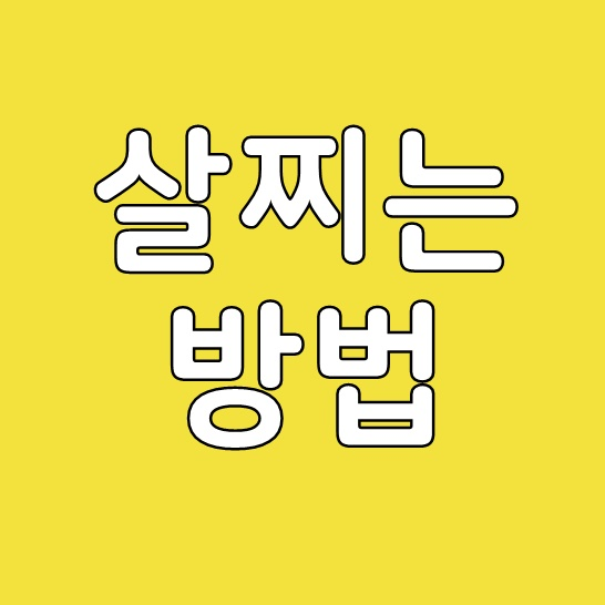  살찌는 방법
