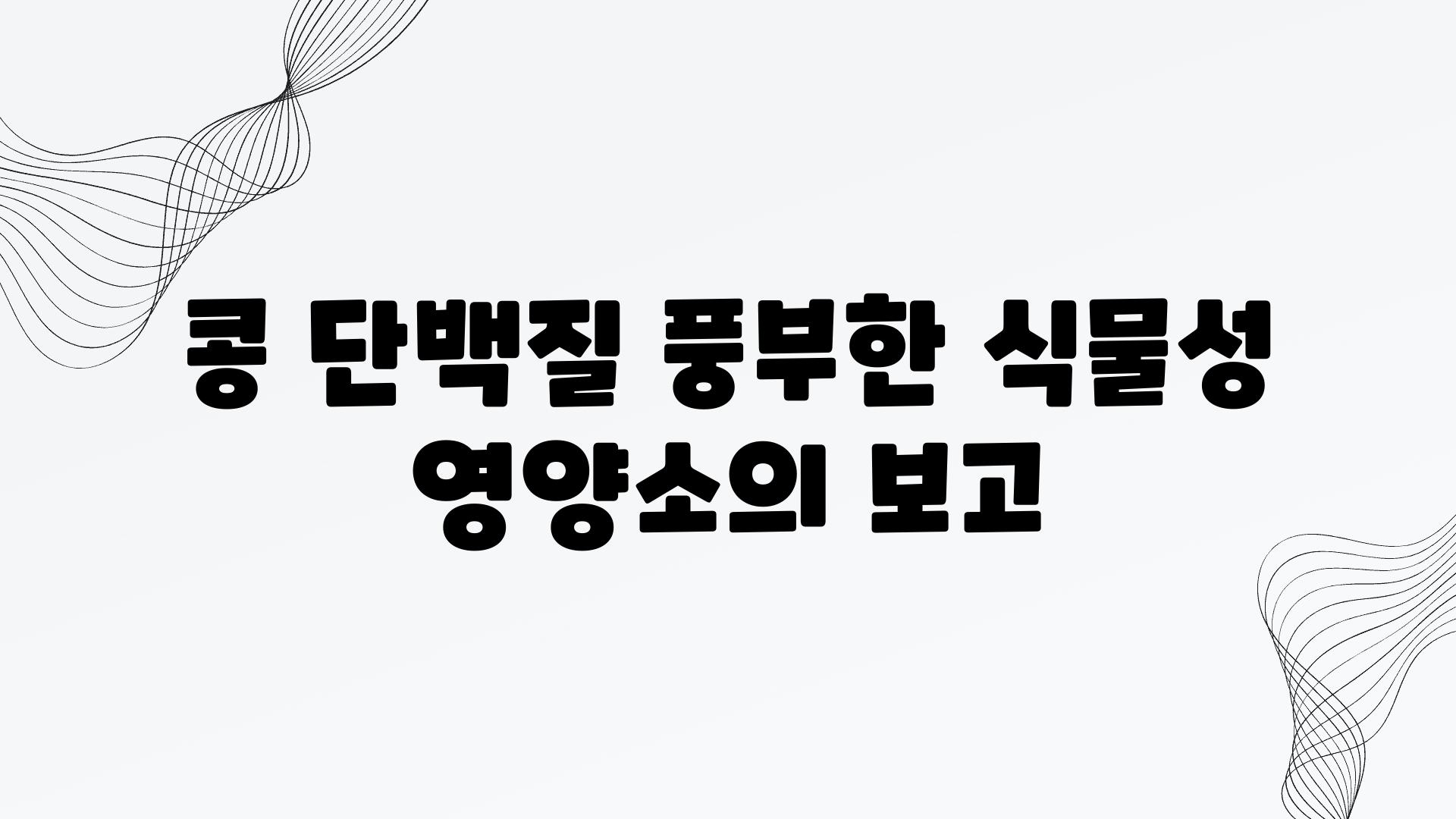 콩 단백질 풍부한 식물성 영양소의 보고