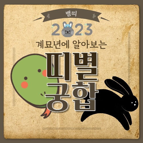  뱀띠 궁합 어떤 띠와 잘 맞을까?