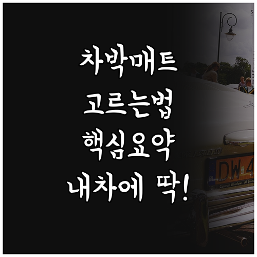내 차에 딱 맞는 차박매트 선택, 더