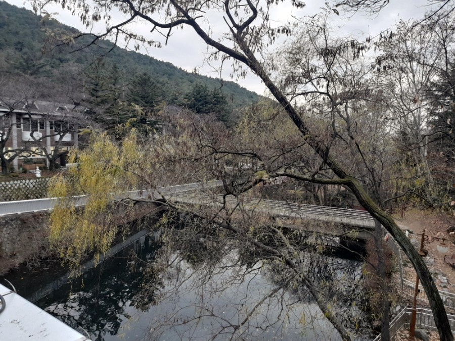 12월 월요일 아침 인사말 일상의 소소한 행복 찾기,