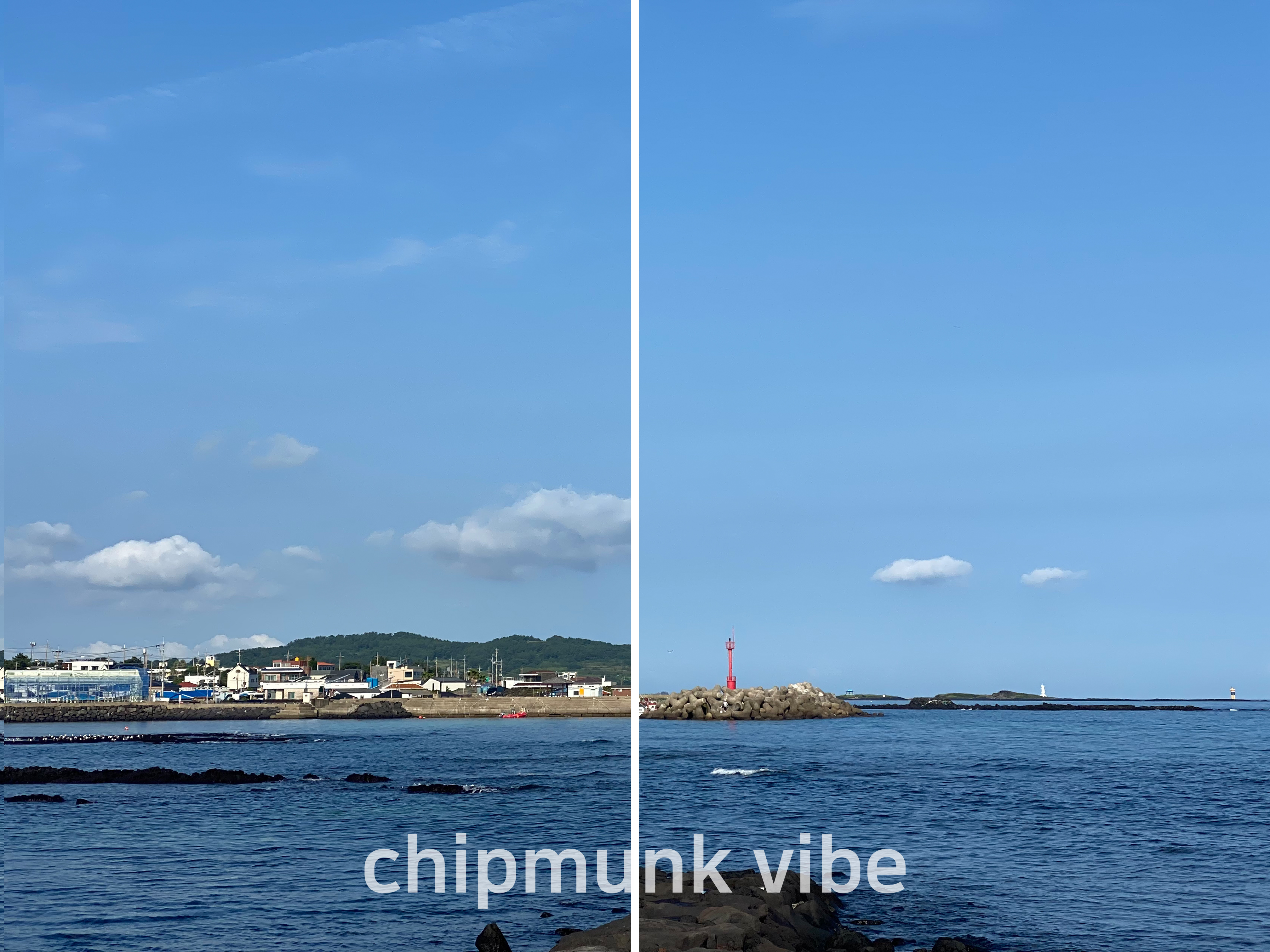 자리에서-보이는-바다뷰