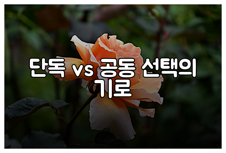단독 vs 공동 선택의 기로