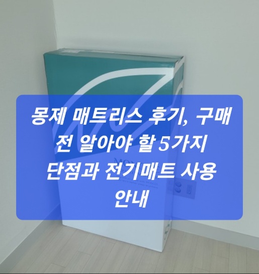 몽제 매트리스