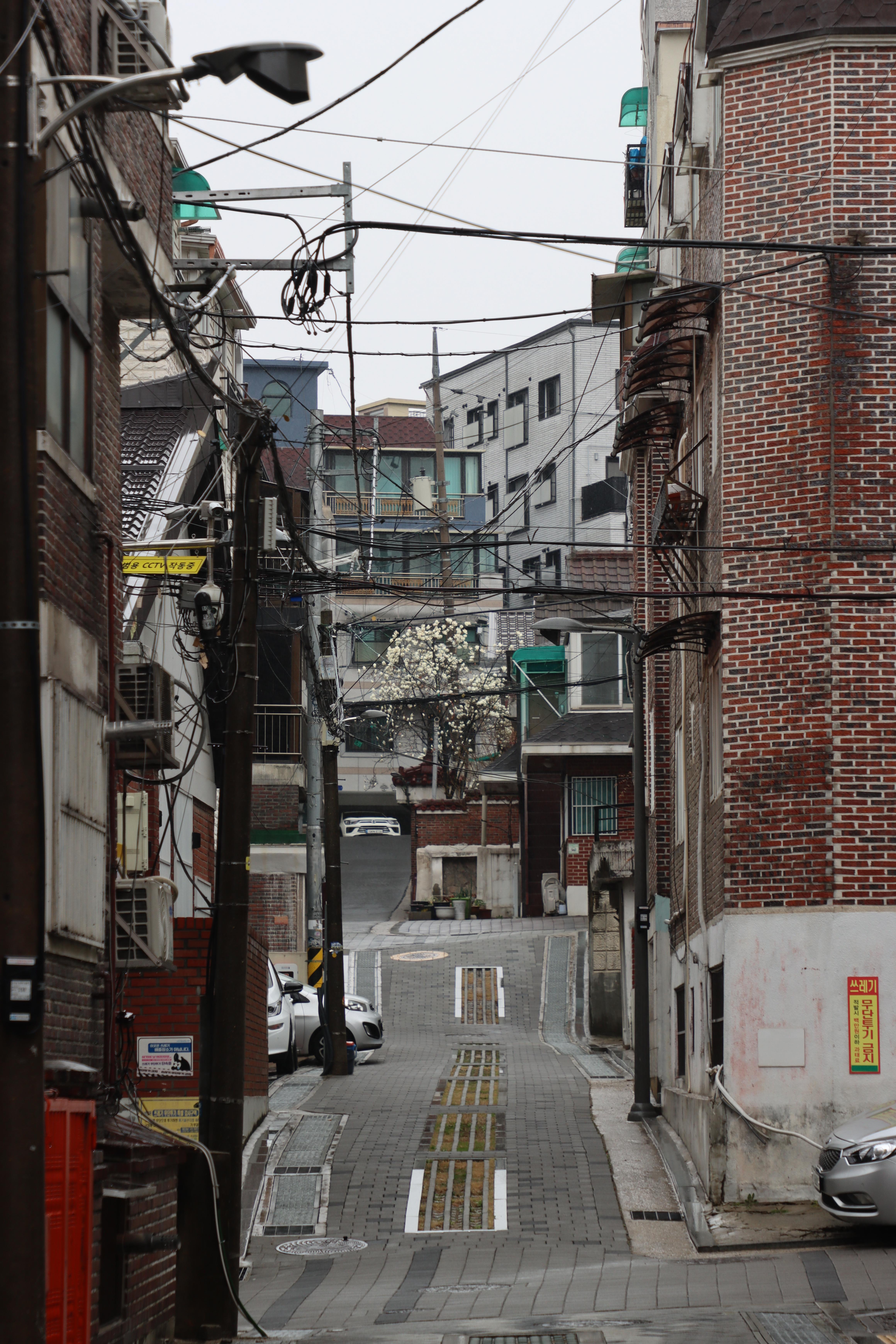alt=&quot;Quiet uphill alleyway in Seoul with power lines and a blooming tree in the distance&quot;