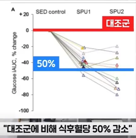 식후혈당-대조표