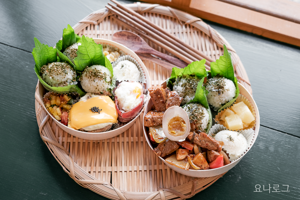 제주맛집 추천 제주맛집 제주투어 제주도투어 제주동고량동고량제주도시락 제주시내맛집 동문시장 동문시장맛집 동문시장맛집 제주나홀로제주나홀로제주 제주나홀로여행 제주나홀로여행