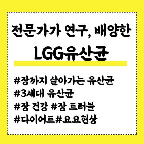  장 건강 다이어트 LGG 유산균 효능 부작용 섭취 시 주의사항