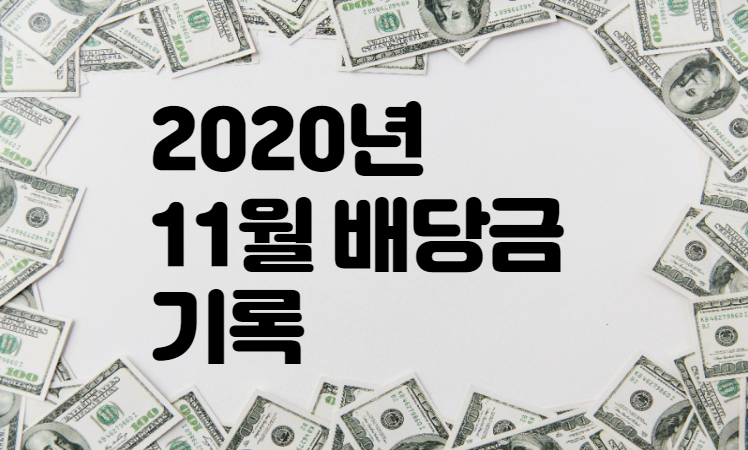  2020년 11월 배당금 기록