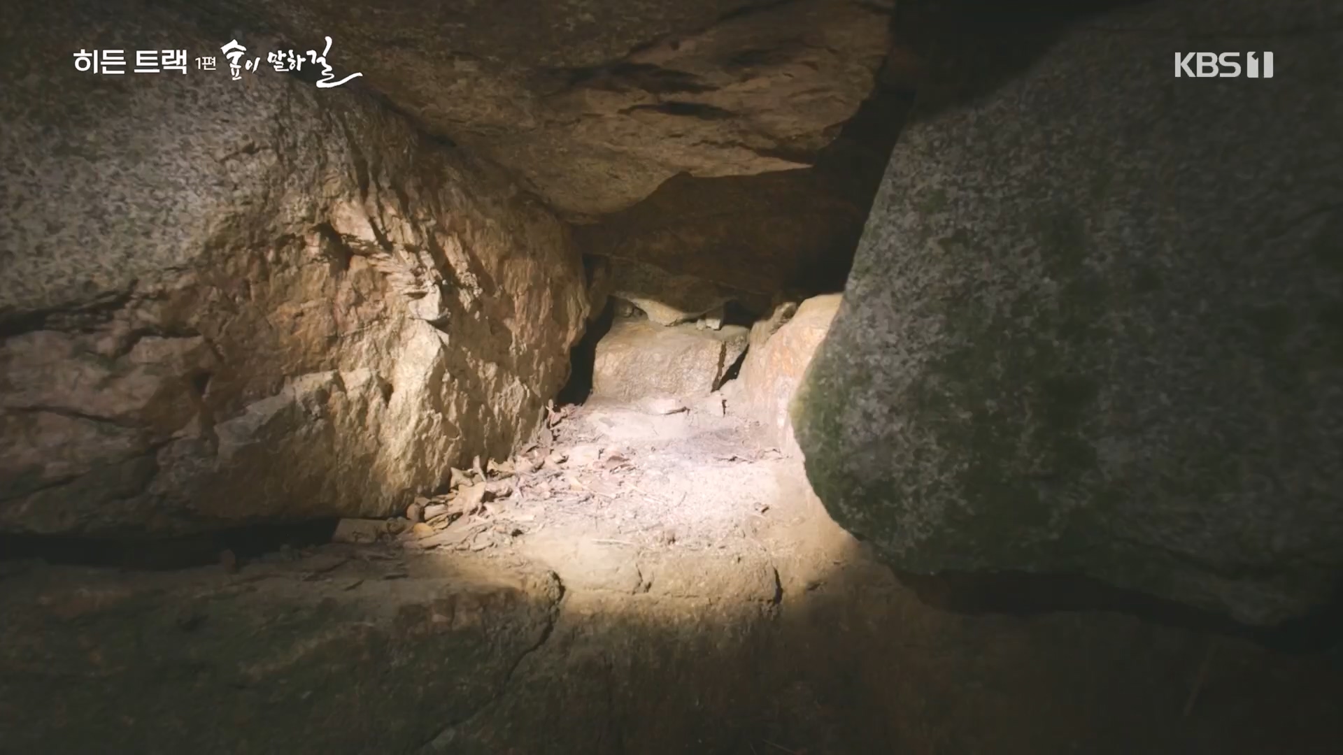 다큐 인사이트.E176.231214p.H264-F1RST.mp4_20231215_205439.899.jpg