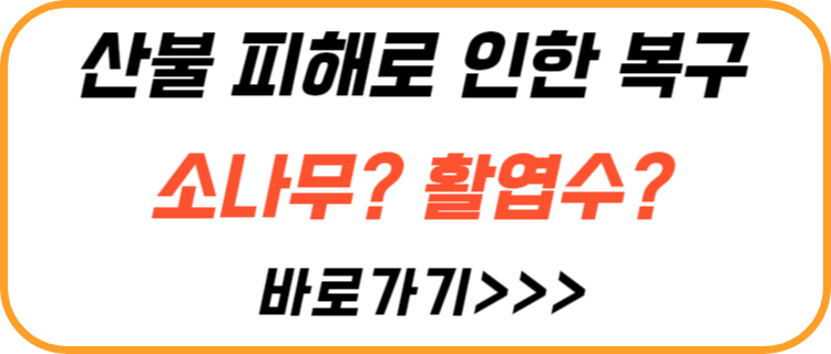 산불-피해-복구-방법