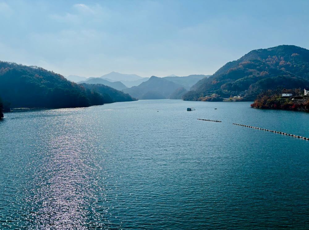 제천 옥순봉 출렁다리에서 보는 청평호