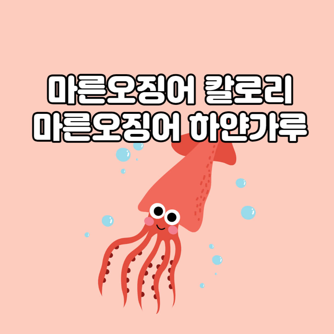  맥주 안주 최고, 마른오징어칼로리 마른오징어 타우린 마른오징어 하얀가루