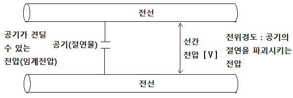  코로나 현상 2