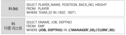 SQL 연산자 - IN 연산자