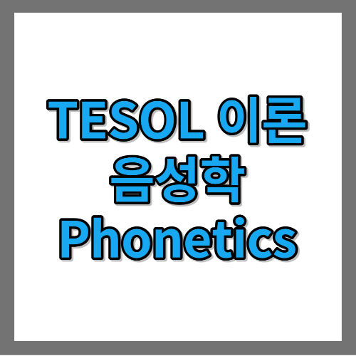 [TESOL 이론] 음성학