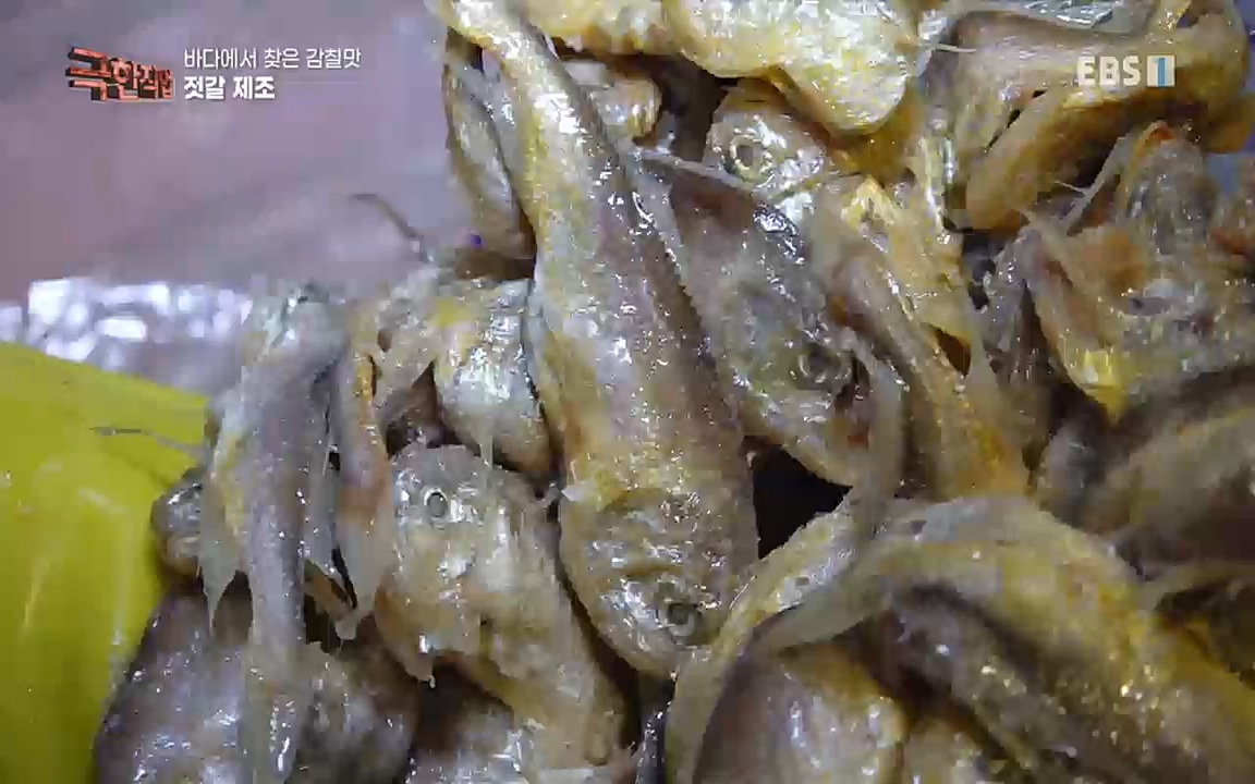 TV - 교육의 중심 EBS바다에서 찾은 감칠맛 새우젓과 다시마.mp4_20220717_175010.200.jpg