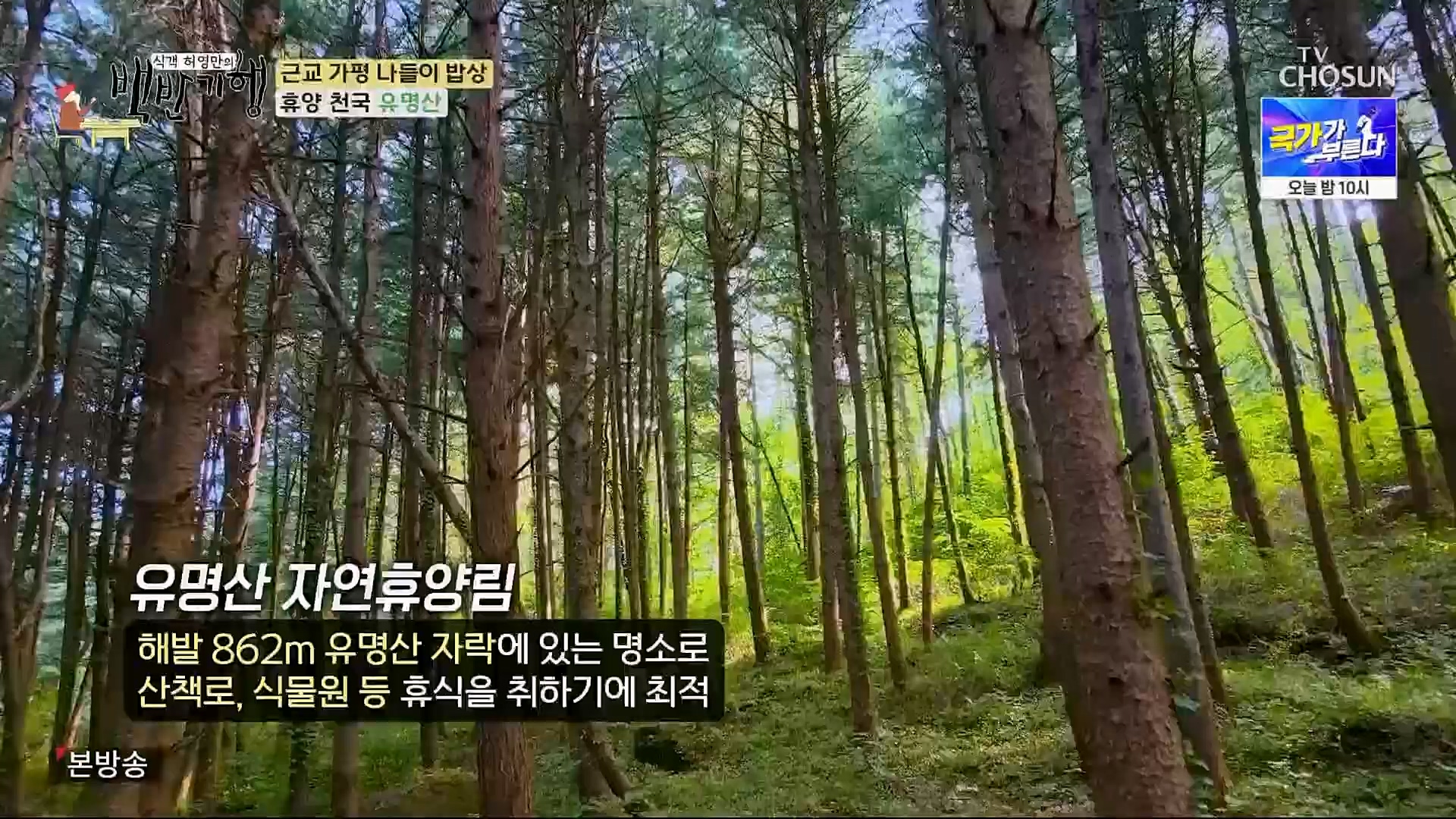 식객 허영만의 백반기행.E195.230407p.H264-F1RST.mp4_20230408_172341.675.jpg