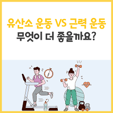 근력 운동과 유산소 운동