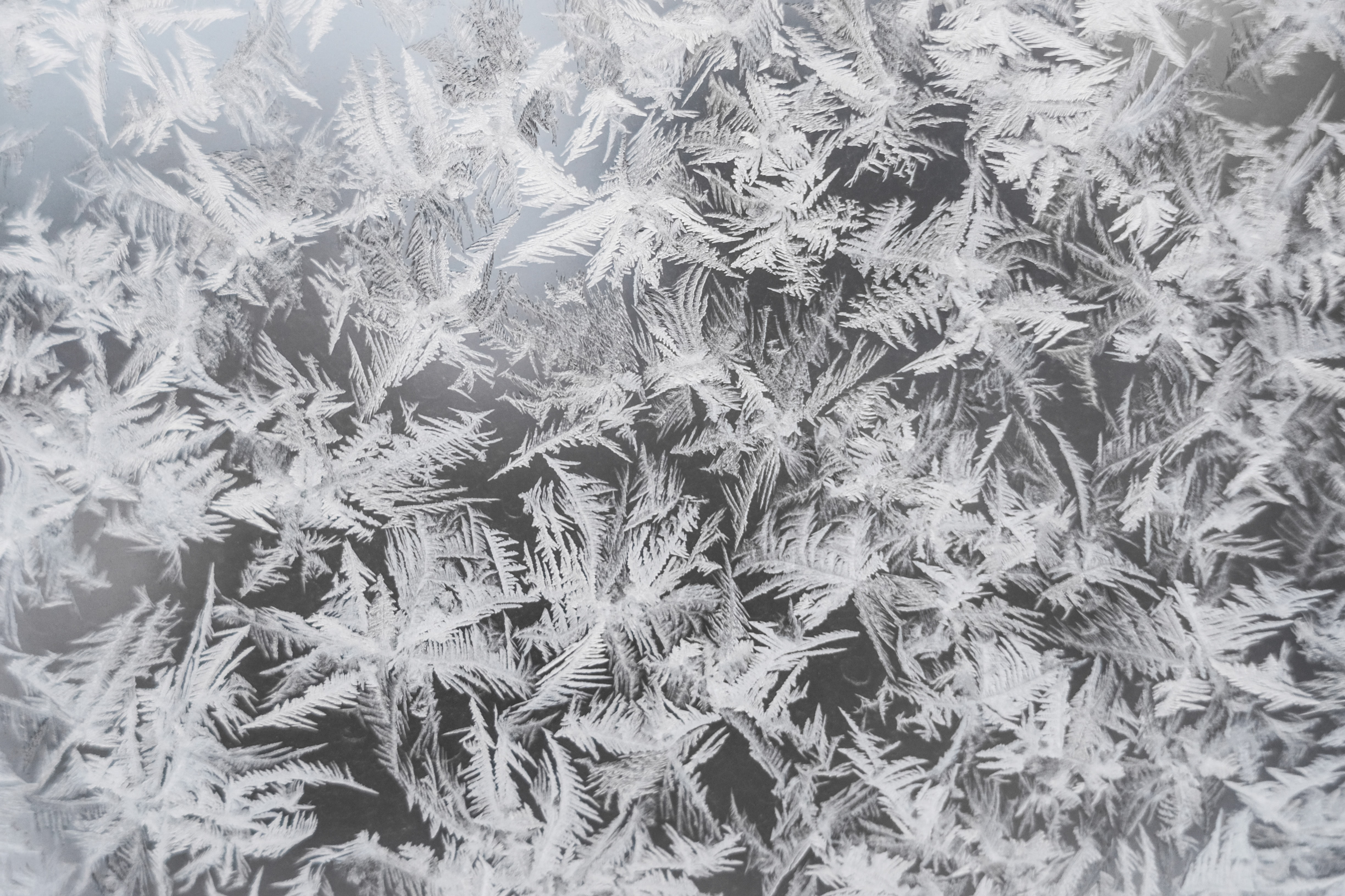 아이들과 함께 보기 좋은 애니메이션 Frozen을 사용하는 방법은 다음과 같습니다. 1