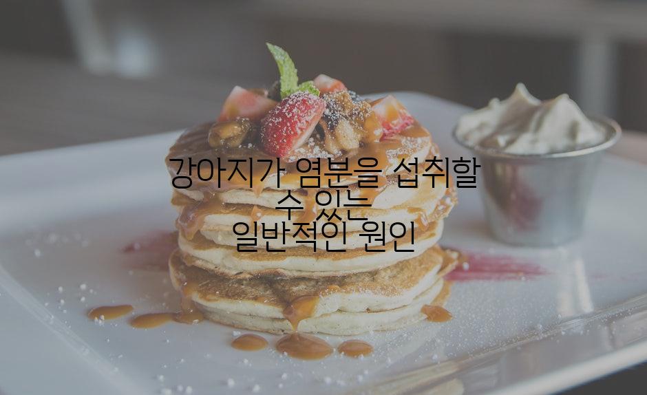 강아지가 염분을 섭취할 수 있는 일반적인 원인