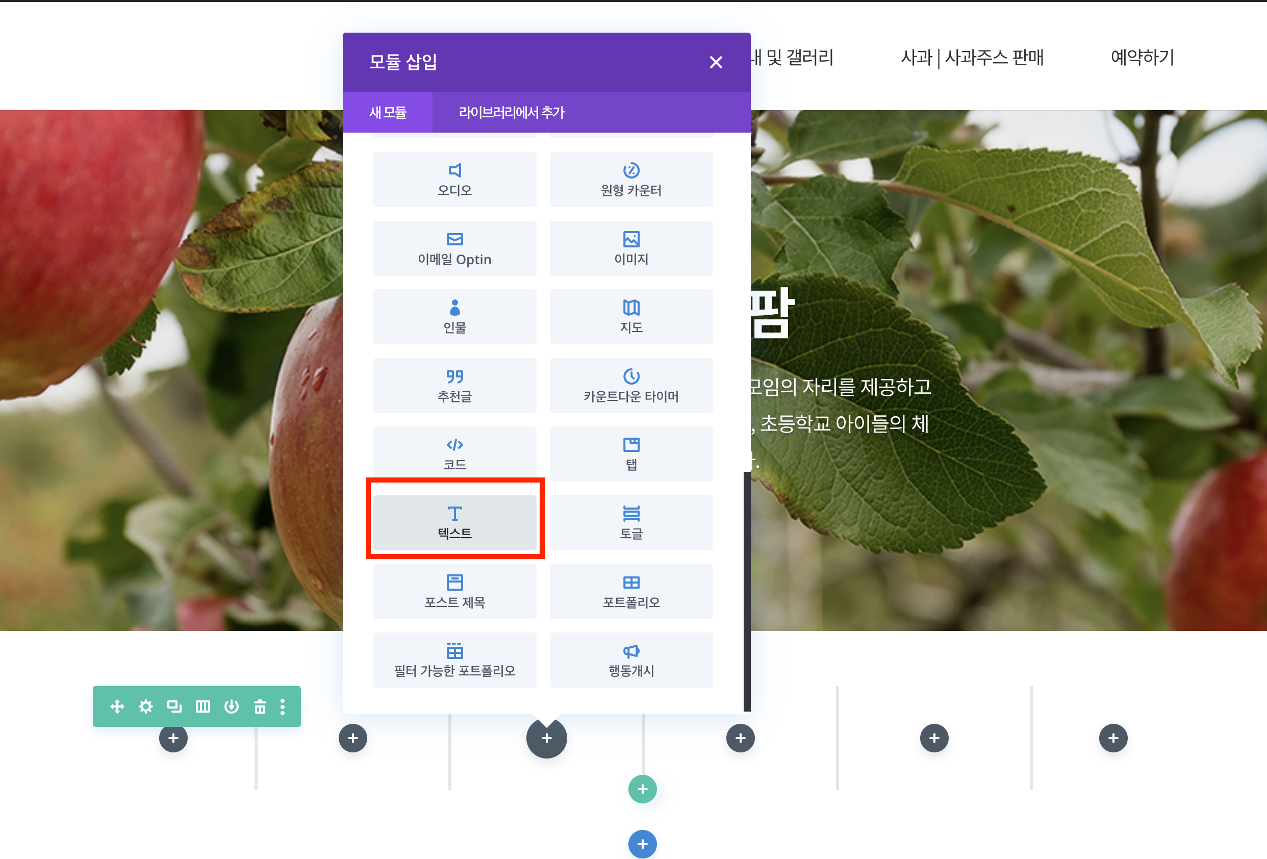  디비 divi 빌더 텍스트 모듈로 동그란 버튼 만들기