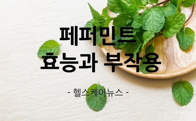 헬스케어뉴스