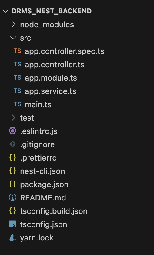 DRMS 1) Nest.js 프로젝트 생성 및 기본 개발환경설정 image.