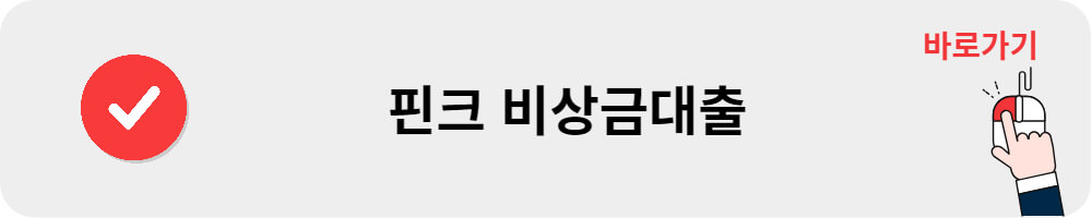 핀크 비상금대출