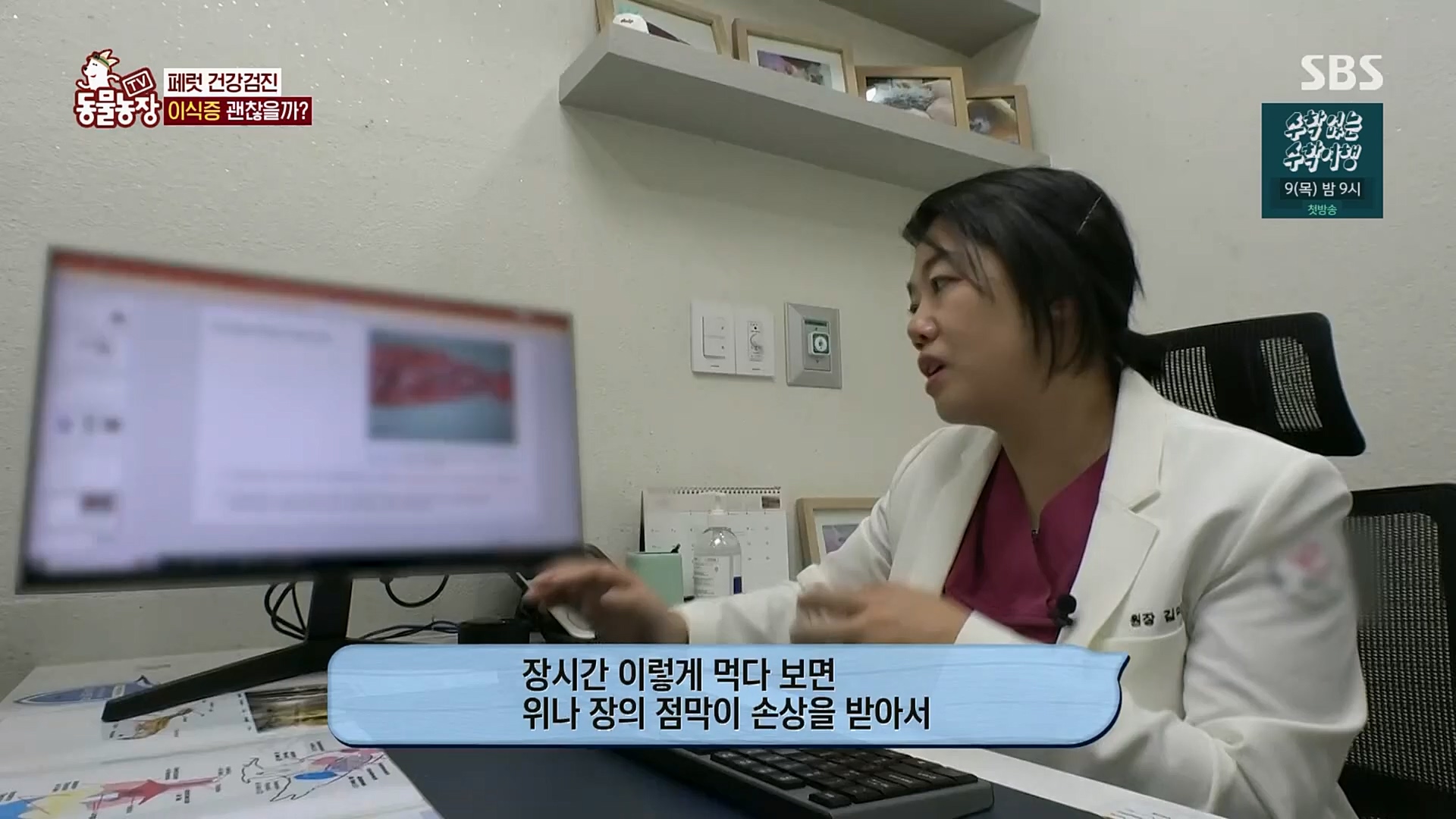 TV 동물농장.E1109.230226p.H264-F1RST.mp4_20230226_161917.941.jpg