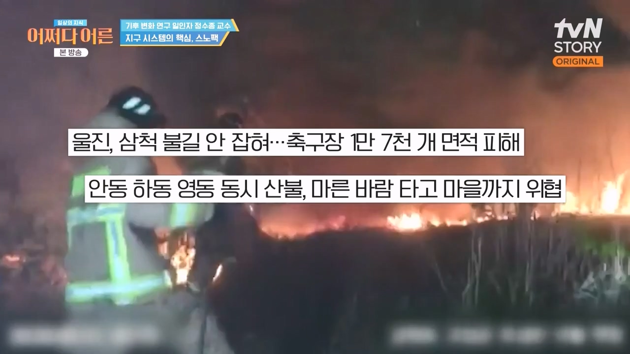 어쩌다 어른.E55.240508p-NEXT.mp4_20240508_205351.068.jpg