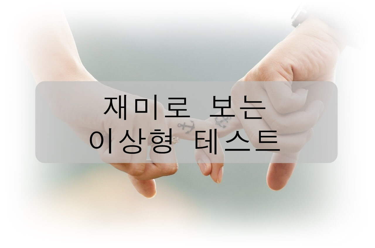  재미로 보는 이상형 테스트(링크 포함)