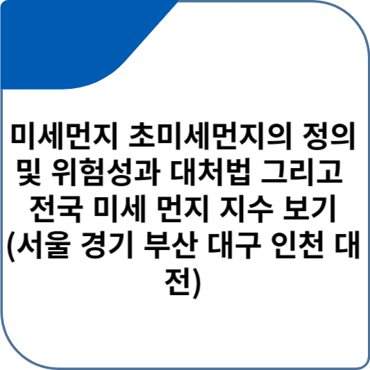 미세먼지 초미세먼지의 정의 및 위험성과 대처법 그리고 전국 미세 먼지 지수 보기(서울 경기 부산 대구 인천 대전)