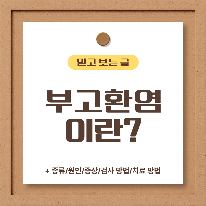  부고환염 이란?