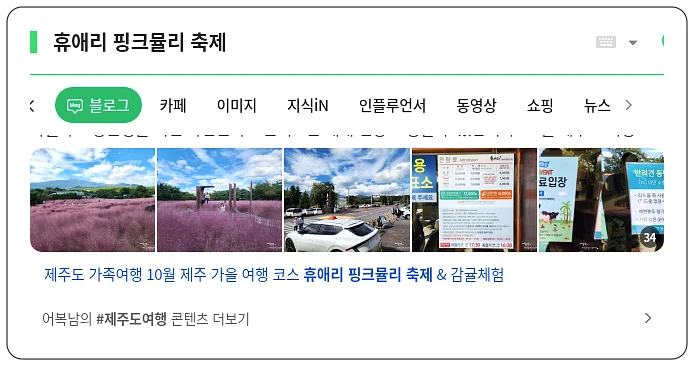 휴애리 핑크뮬리 축제_1_subsection