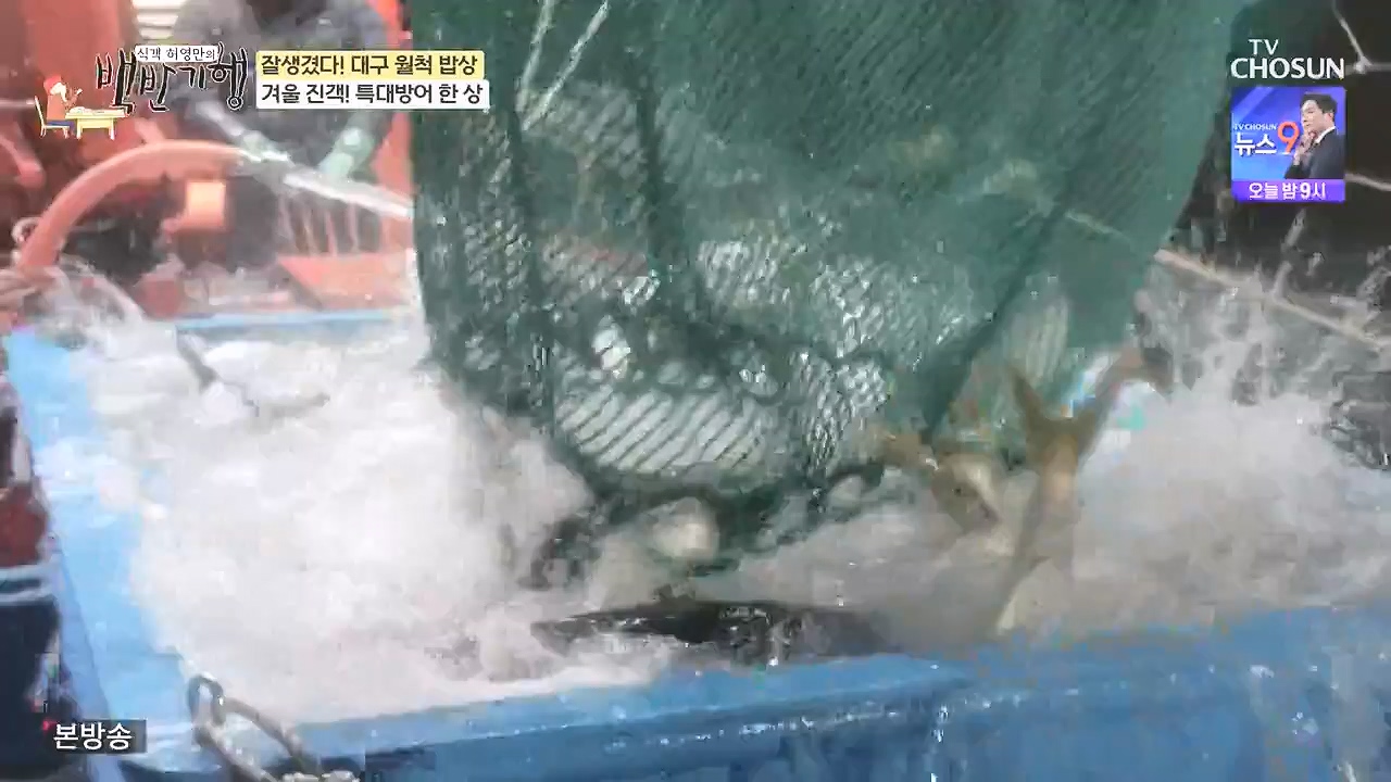 식객 허영만의 백반기행.E229.240106p-NEXT.mp4_20240106_165503.454.jpg