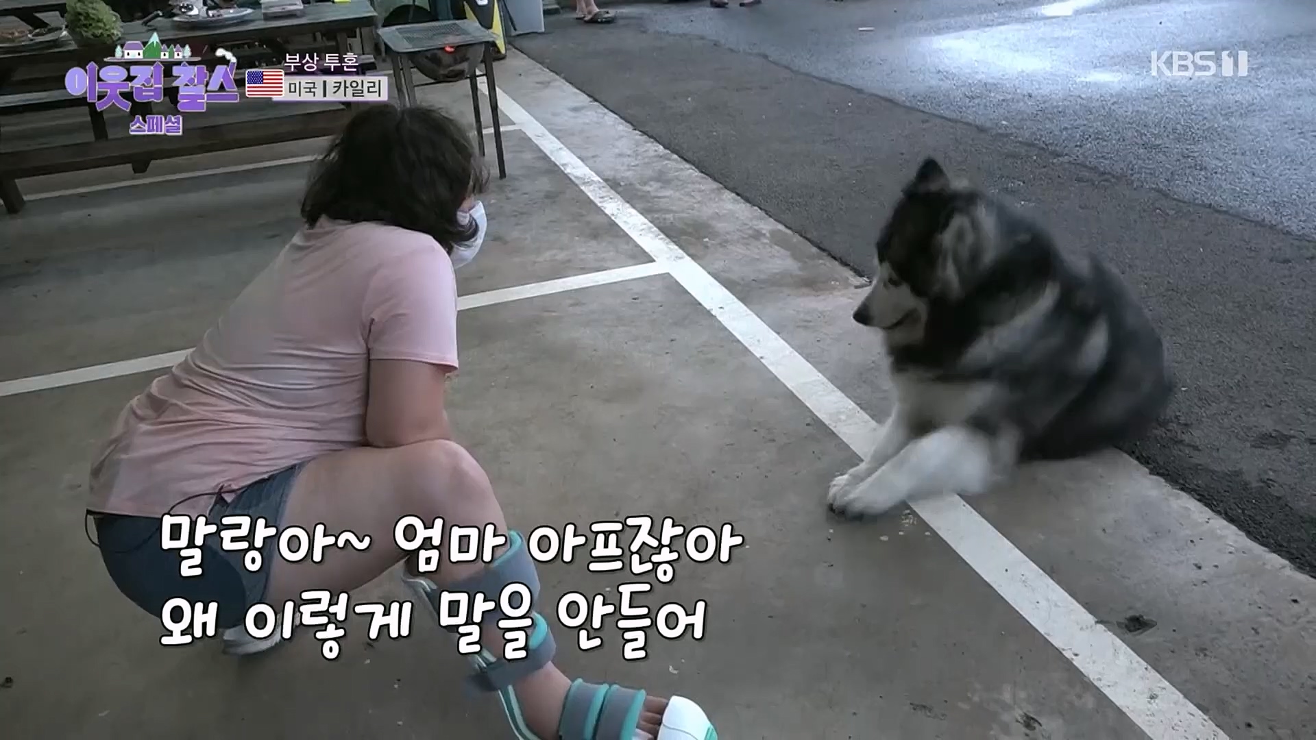이웃집 찰스.E378.230307p.H264-F1RST.mp4_20230308_202238.309.jpg