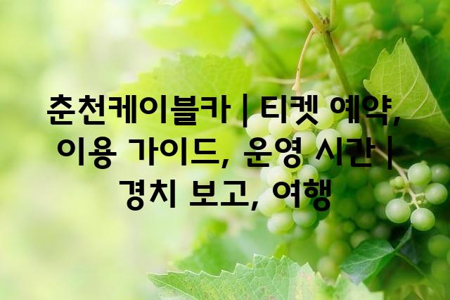 랜덤101