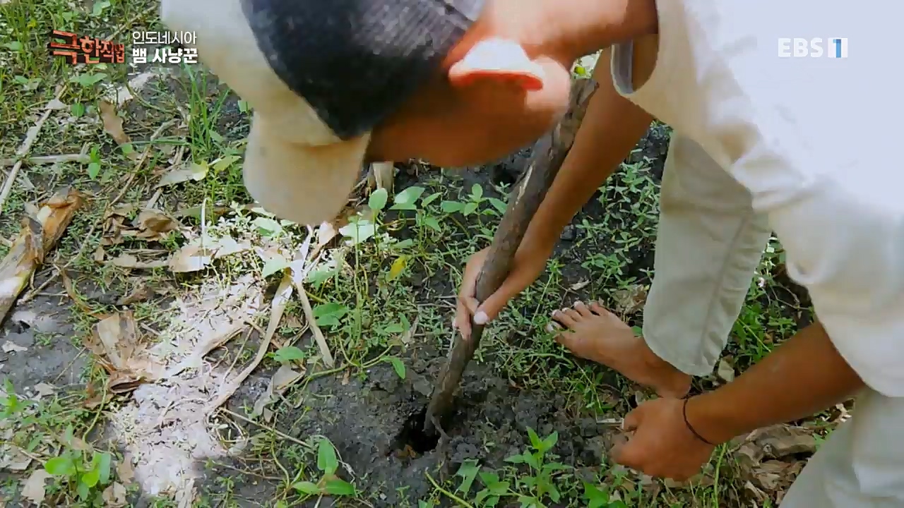 TV - 교육의 중심 EBS인도네시아 뱀사냥꾼.mp4_20221211_181456.461.jpg