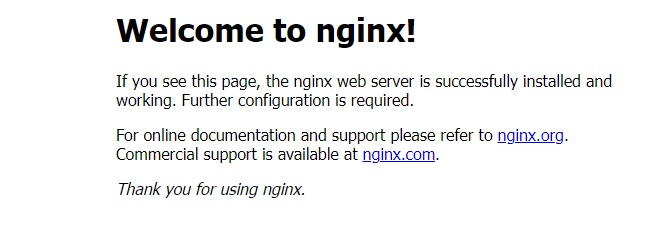 엔진엑스 서버 도커