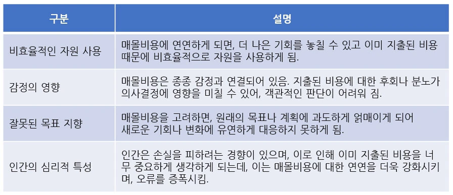 매몰비용의 오류