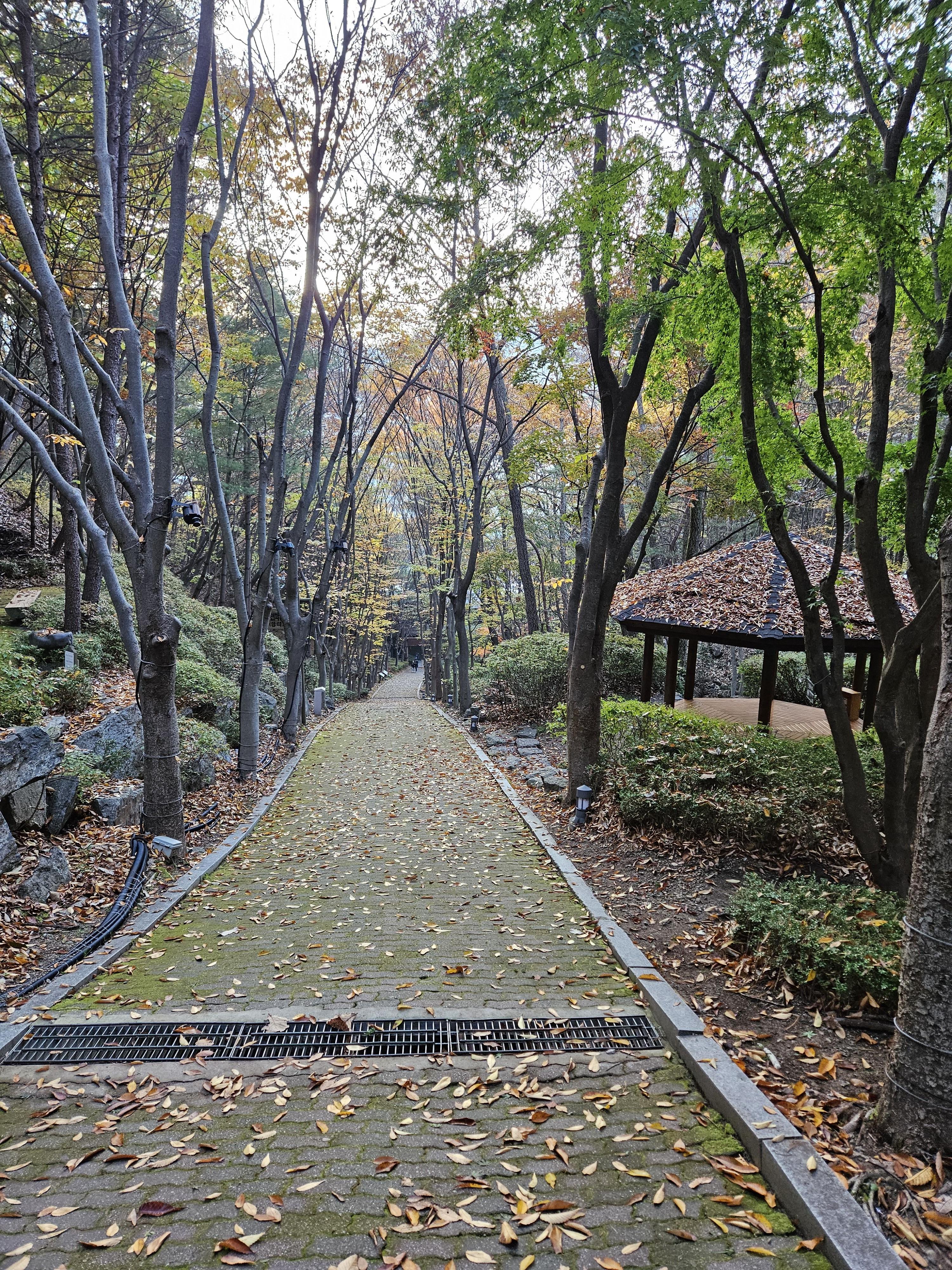 낙엽이 떨어진 산 중턱 어느 길