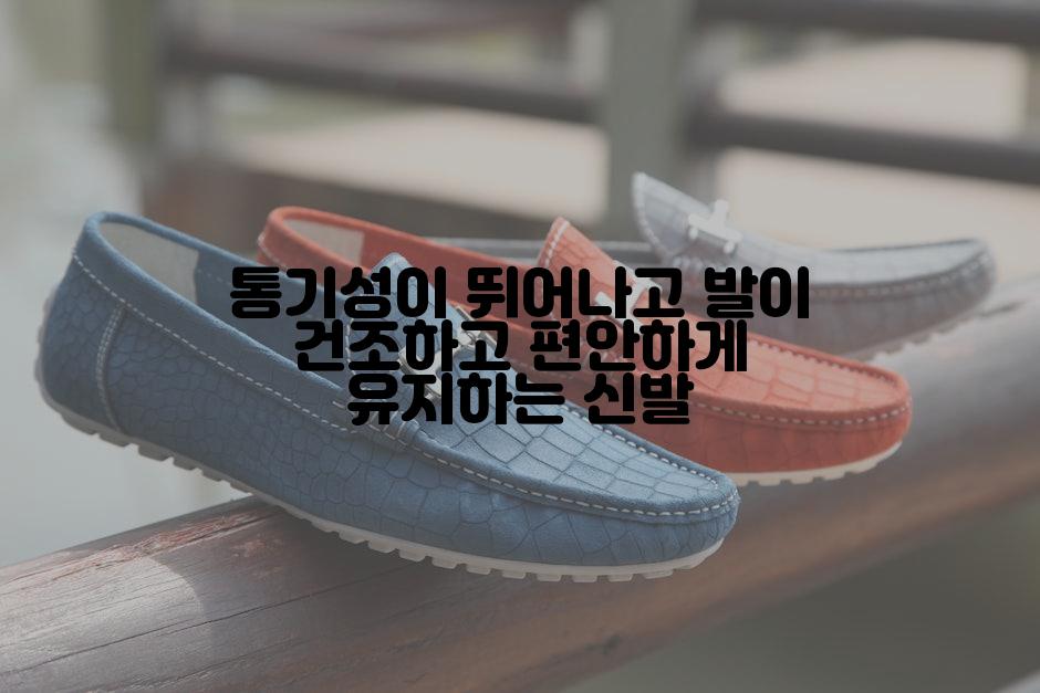 통기성이 뛰어나고 발이 건조하고 편안하게 유지하는 신발