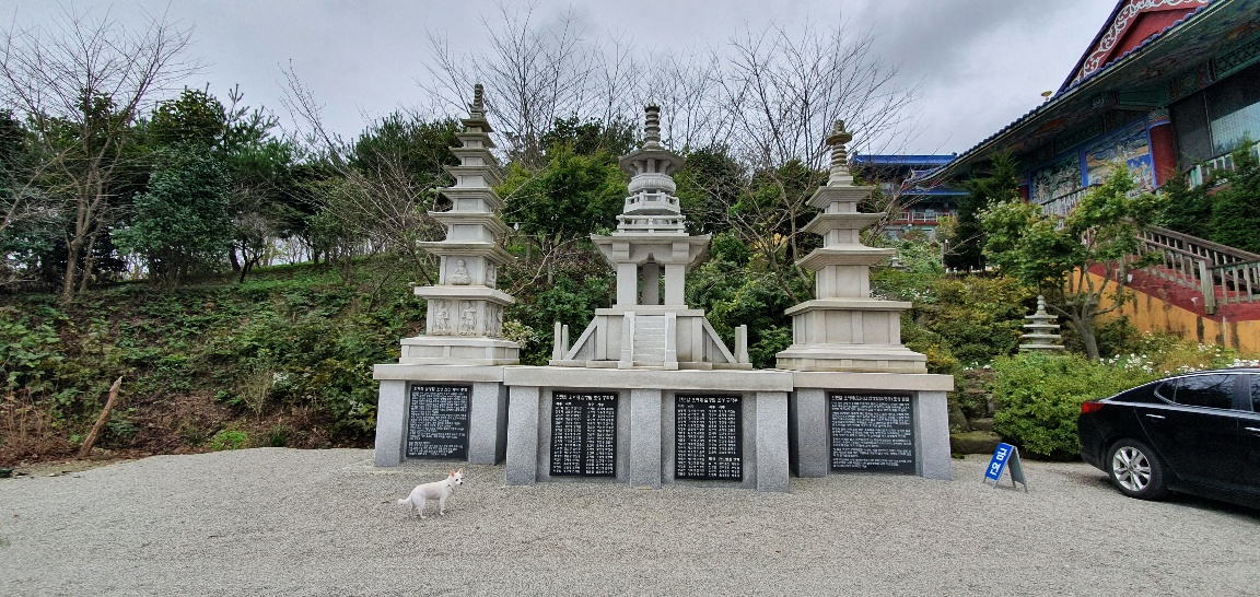 img.jpg