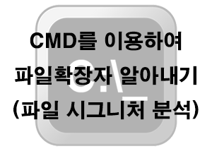  CMD) 파일확장자 알아내기 (파일 시그니처 분석)