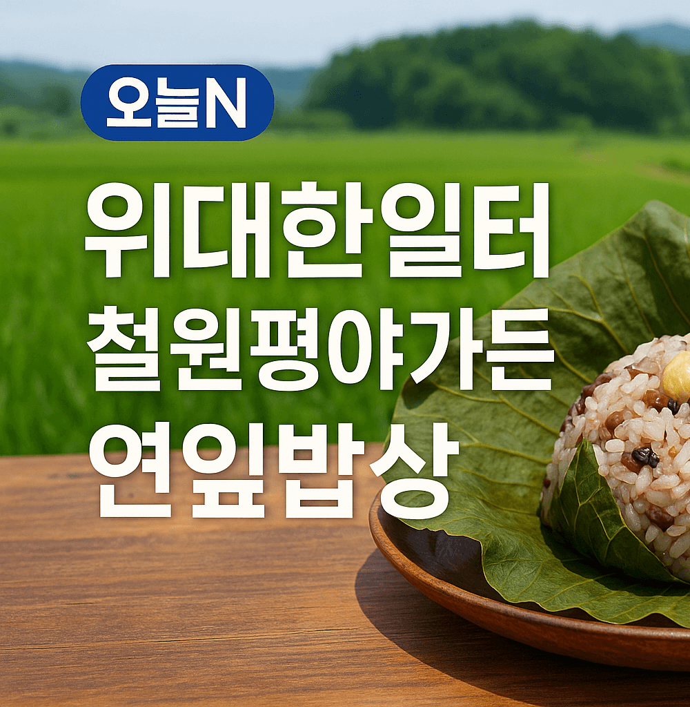 오늘N 2516회 위대한 일터 강원 철원 연잎 밥상 맛집 철원평야가든