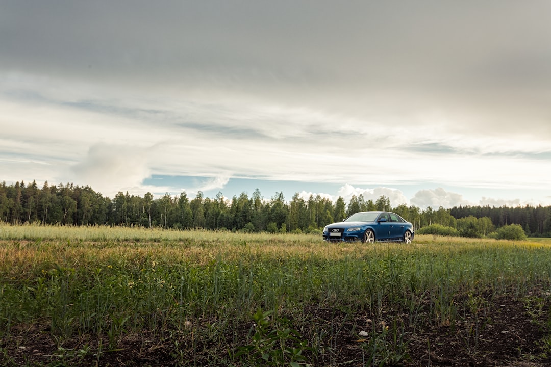 'Used car'