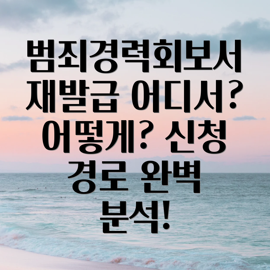 범죄경력회보서 재발급