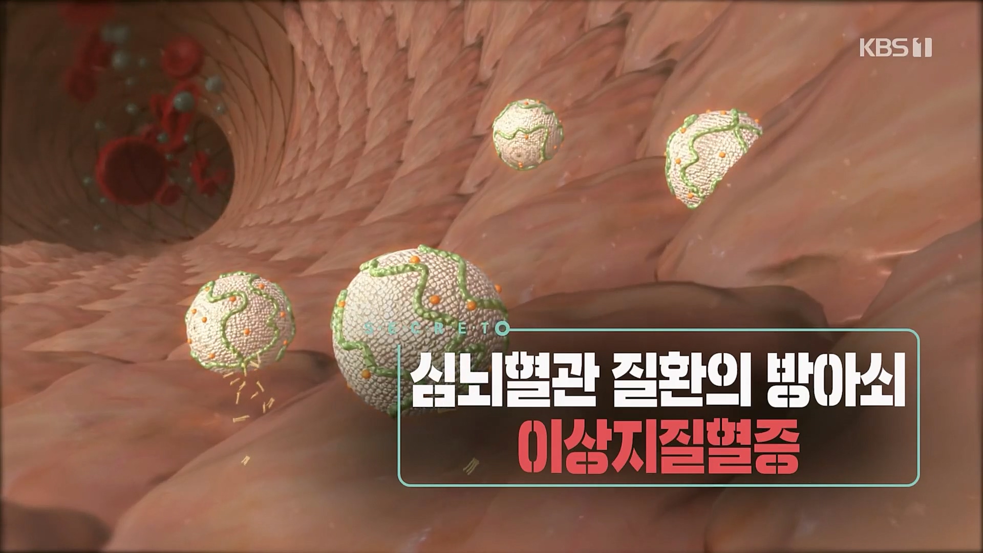 생로병사의 비밀.E862.230329p.H264-F1RST.mp4_20230330_201105.059.jpg